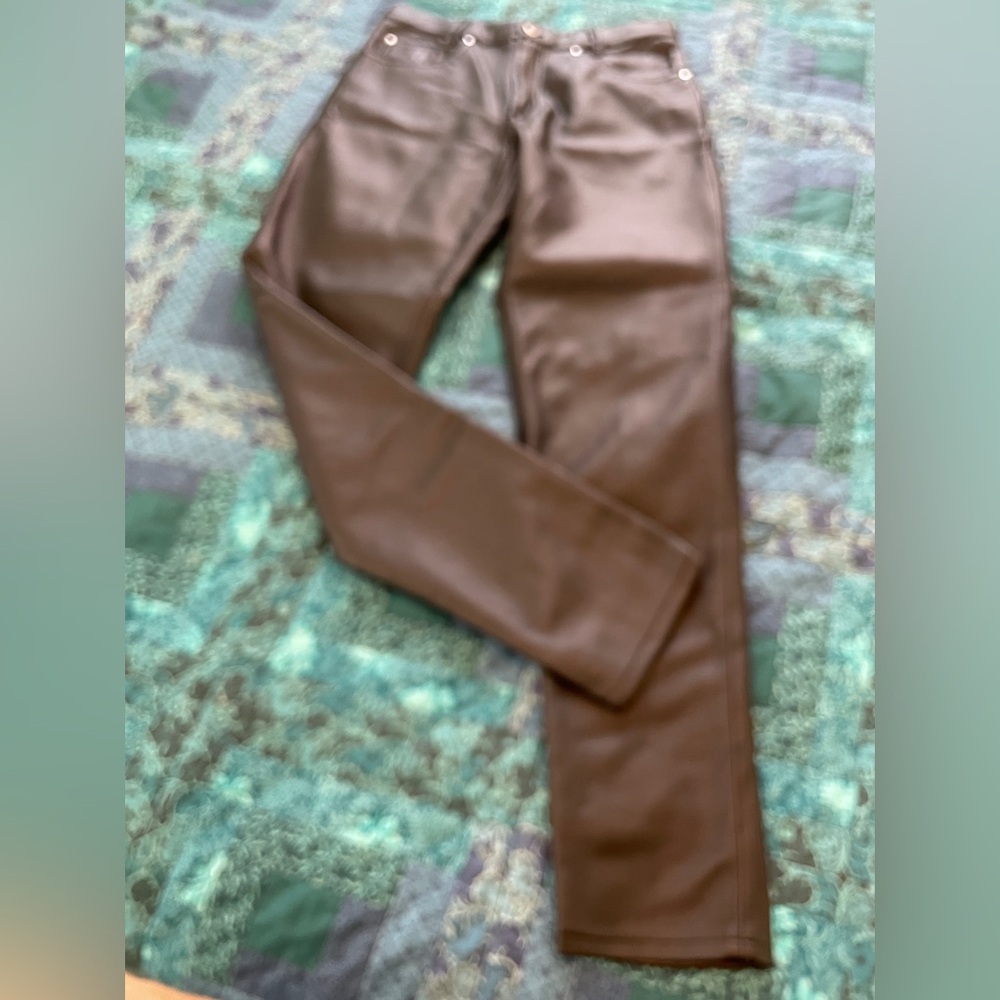 Sierra Pacific Vegan Leather Pants Size 32